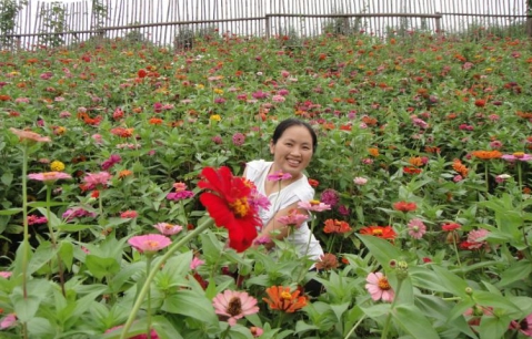 365英国上市公司